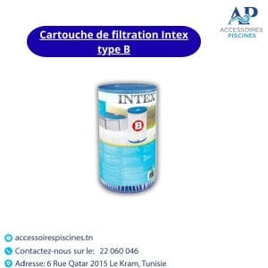 Cartouche de filtration Intex type B Tunisie Tunisie Tunisie